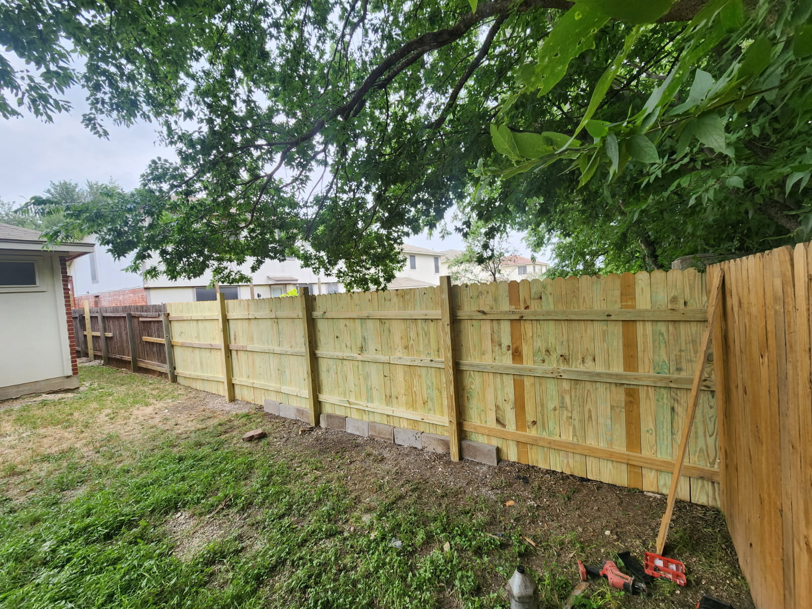 New pressure-treated wood privacy fence installed in an Austin backyard
