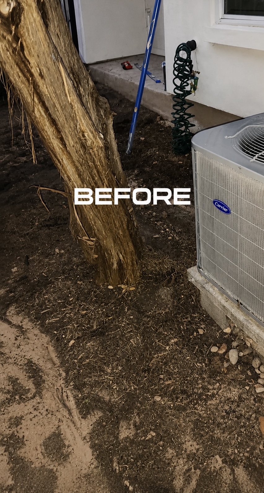 Before photo of a bare dirt area around a tree and AC unit